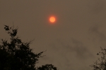 This is an artificial sunset caused by a dust cloud from the Sahara. it lasted about an hour, on the afternoon of 16-Oct-2017. This was taken with a Canon 70D and a 100-400 MK2 IS zoom set on 100mm IMG_6515.jpg