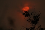 Another shot of the artificial sunset caused by a dust cloud from the Sahara. This was taken with the Canon 70D and a 100-400 MK2 IS zoom, set on 400mm. IMG_6526.JPG
