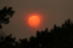 I focused on the sun this time. It was a truly weird event. Pity it had no sunspots to show on that day. IMG_6509.jpg